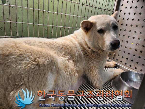한국동물구조관리협회_441409202400955